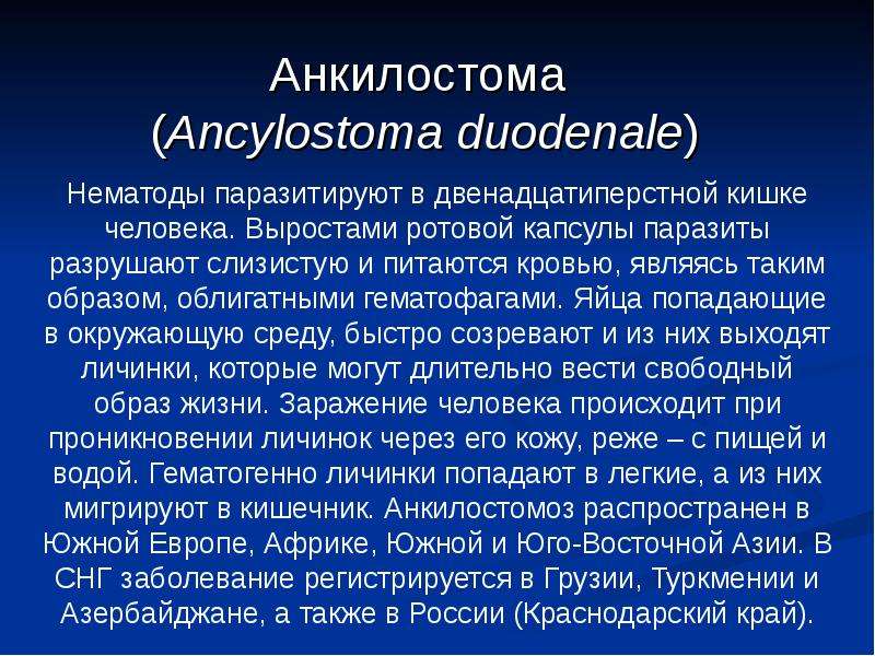 Анкилостома Ancylostoma