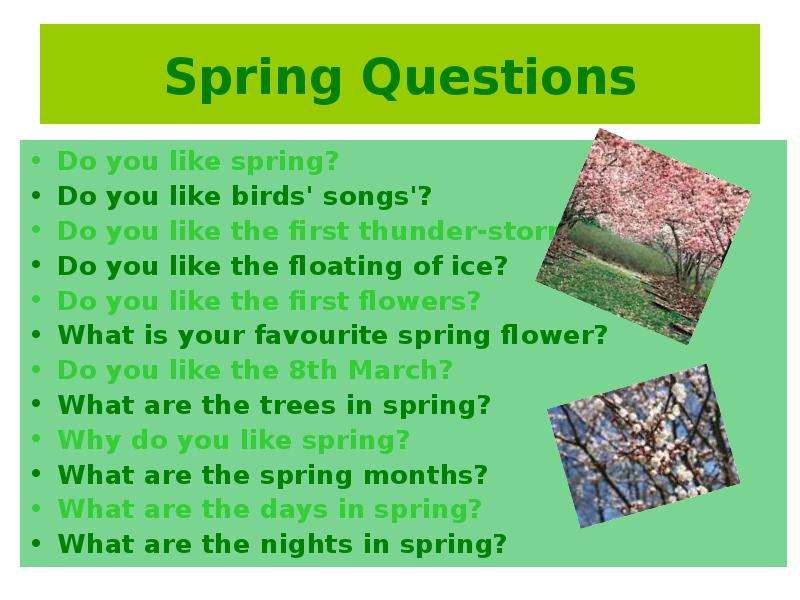 Spring Questions Do you like