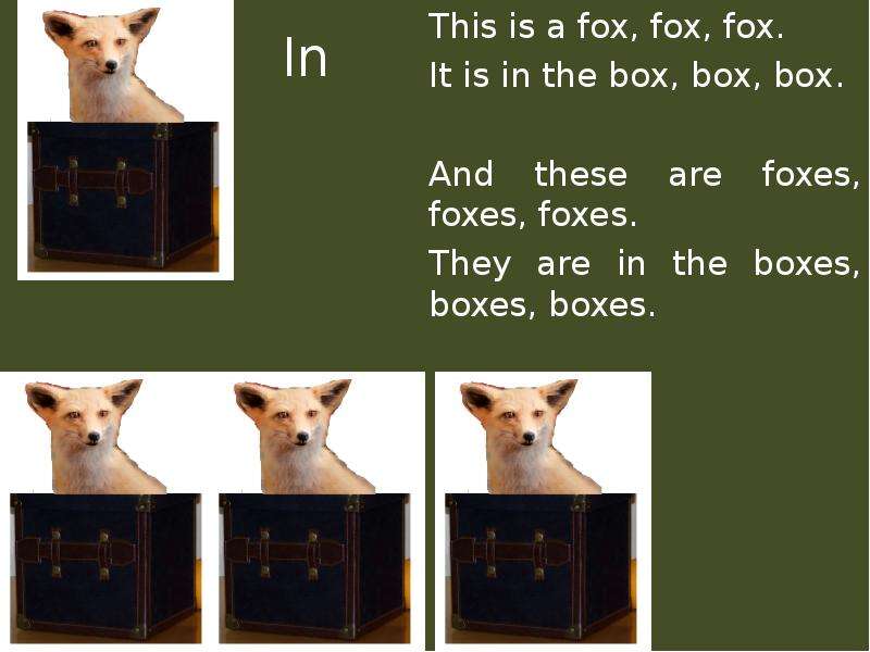 In This is a fox, fox, fox.