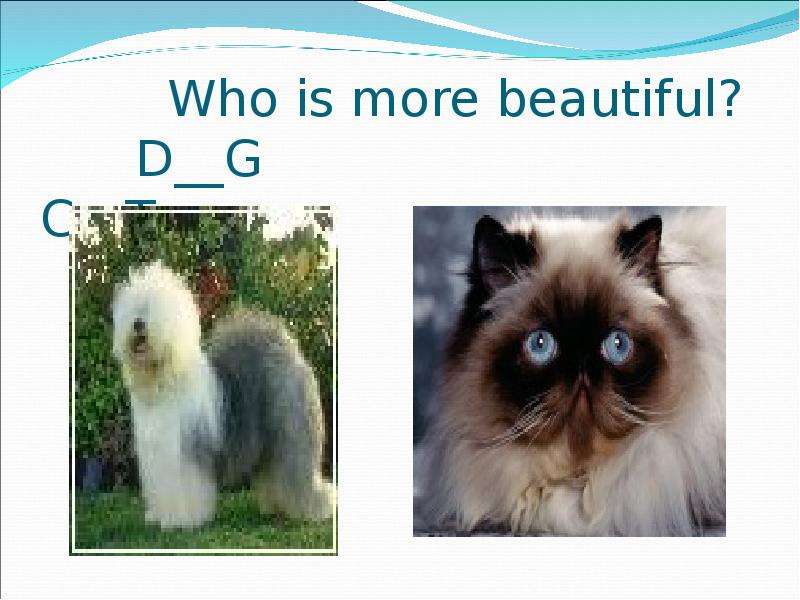 Who is more beautiful? D G C T