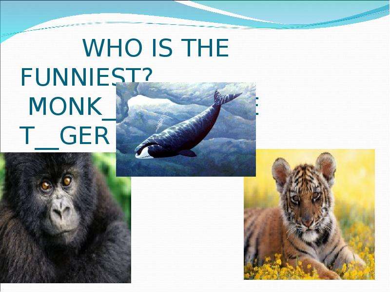 WHO IS THE FUNNIEST? MONK Y