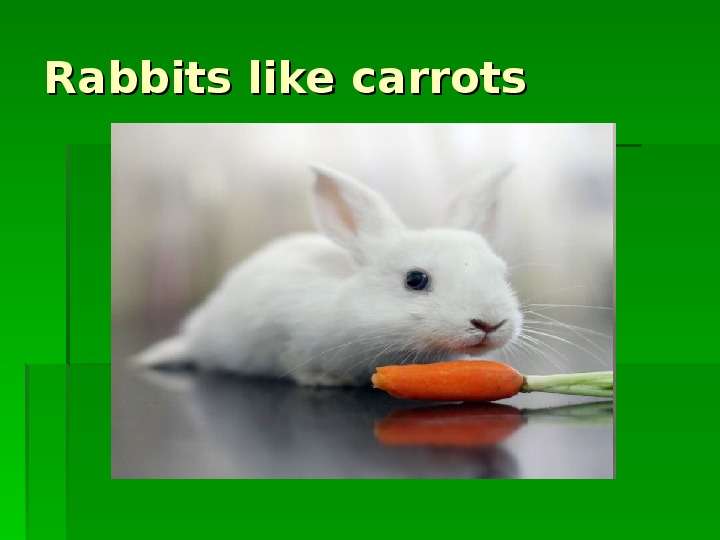 Rabbits like carrots
