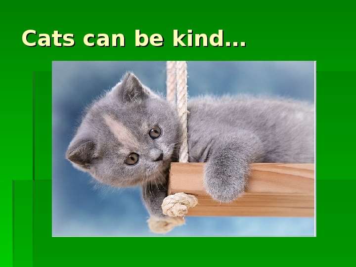 Cats can be kind
