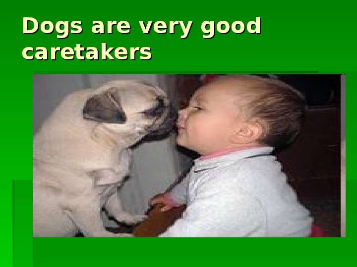 Dogs are very good caretakers