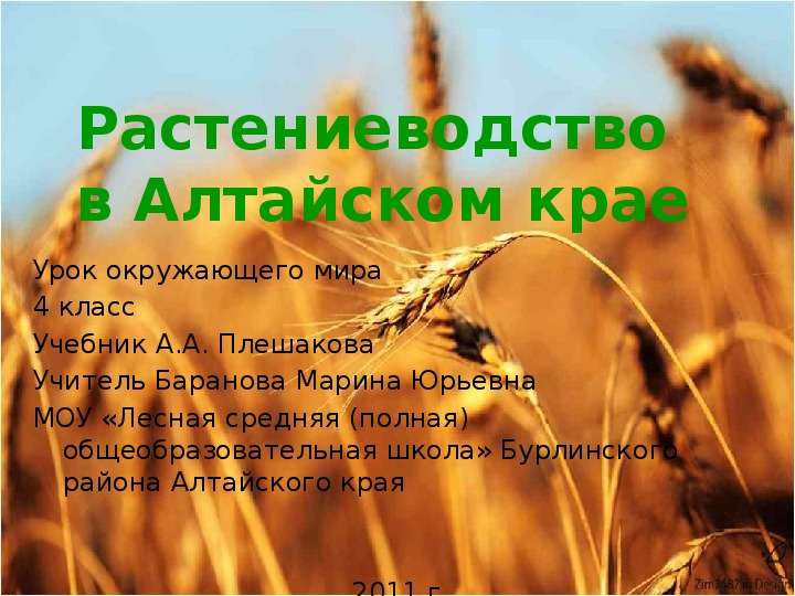 Растениеводство в Алтайском