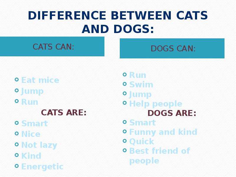 Difference between cats and