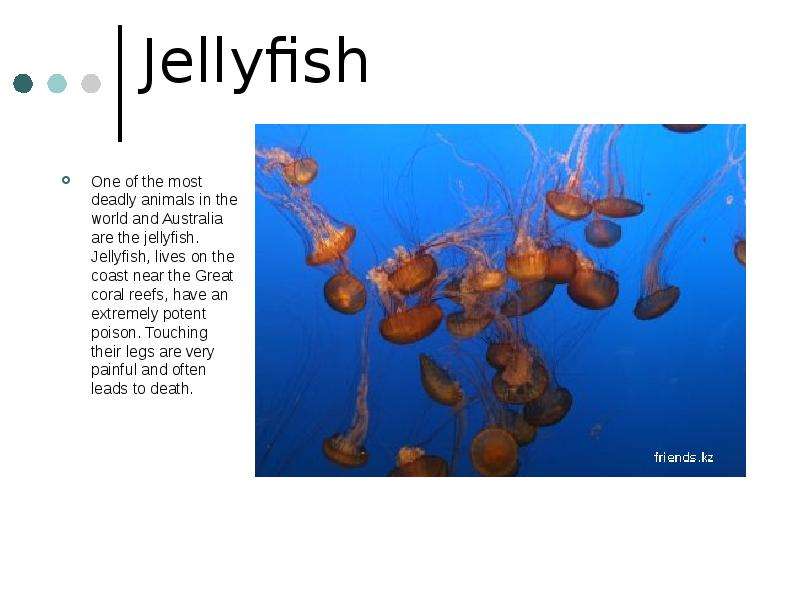 Jellyfish One of the most