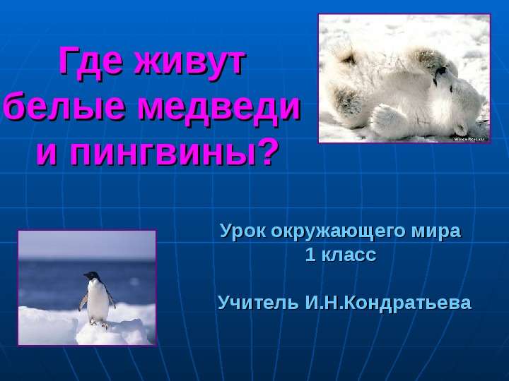Презентация Где живут белые медведи и пингвины? Урок окружающего мира 1 класс