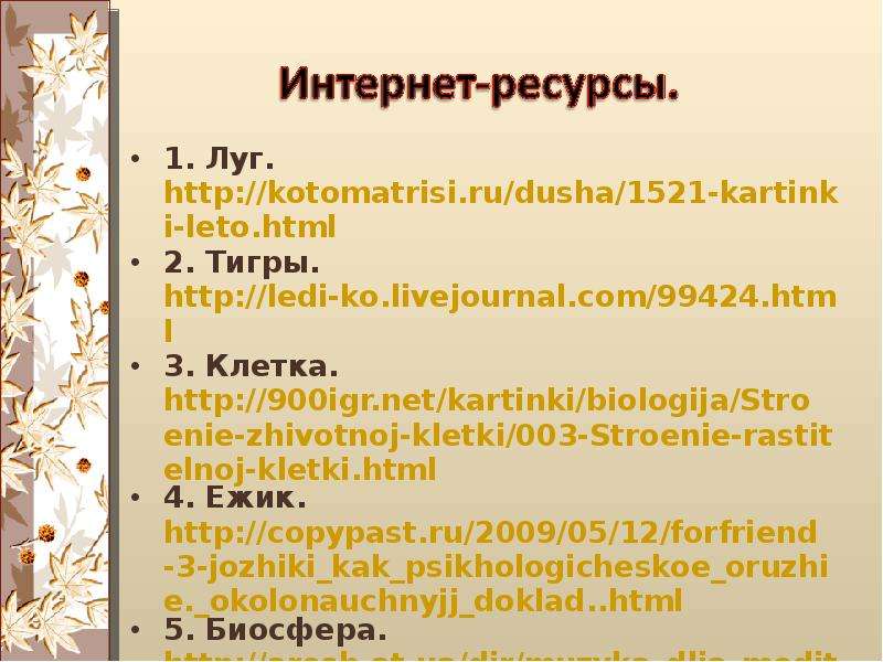 . Луг. http kotomatrisi.ru