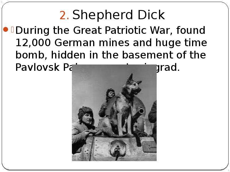 Shepherd Dick Shepherd Dick