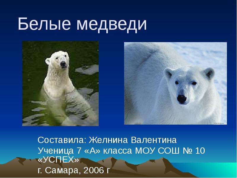 Презентация На тему Белые медведи