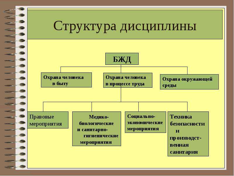 Структура дисциплины