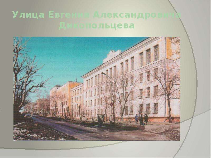 Улица Евгения Александровича