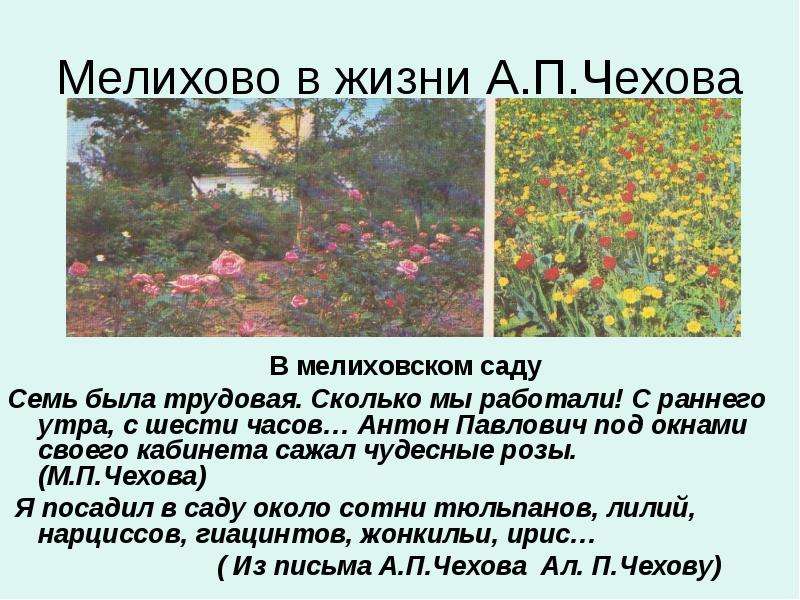 Мелихово в жизни А.П.Чехова В
