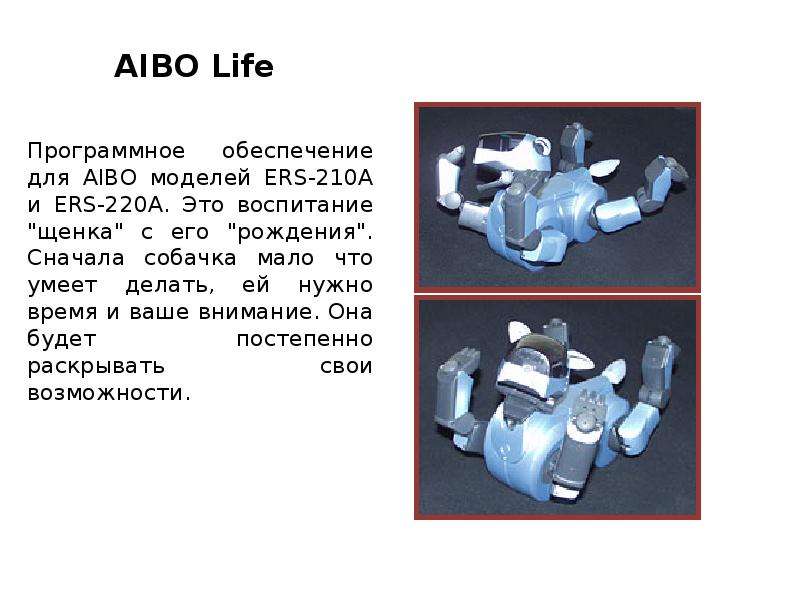 AIBO Life AIBO Life