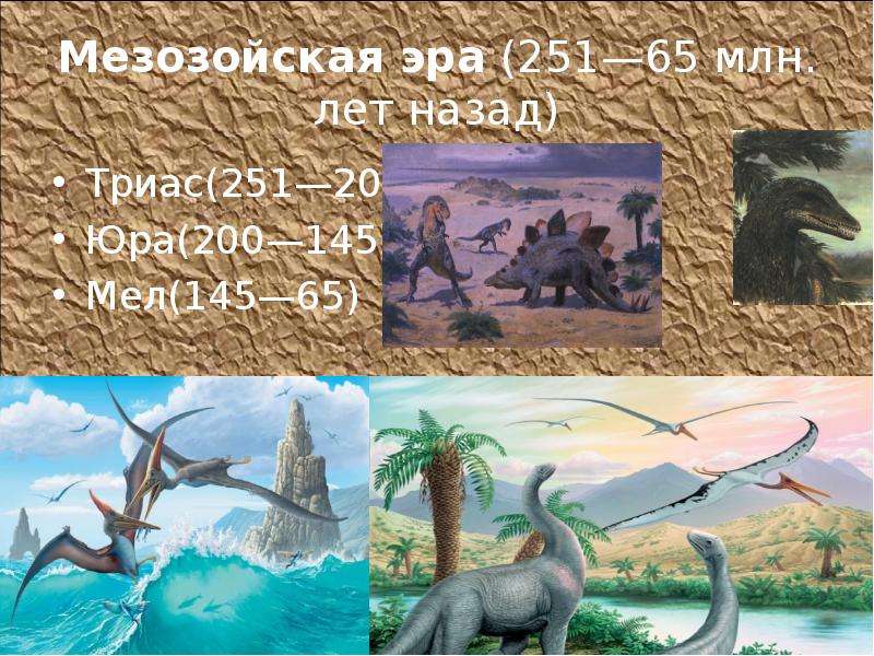 Мезозойская эра млн. лет