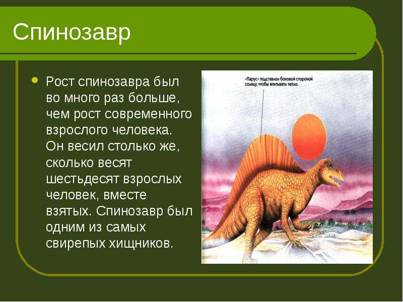 Спинозавр Рост спинозавра был