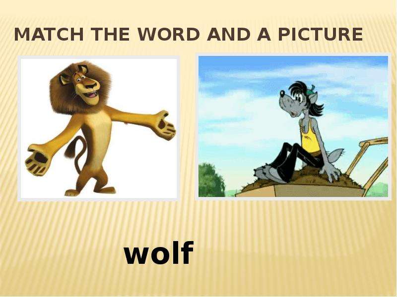 MATCH THE WORD AND A PICTURE