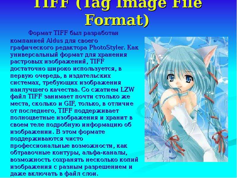 TIFF Tag Image File Format