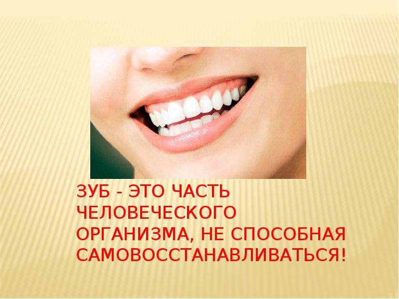 Зуб - Это часть человеческого