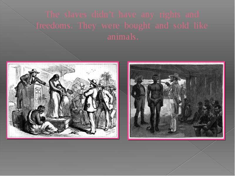 The slaves didn t have any