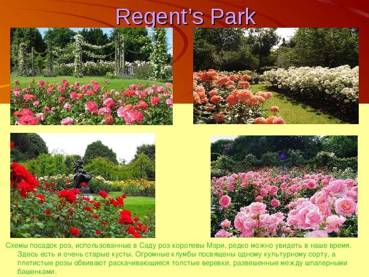 Regent s Park Схемы посадок