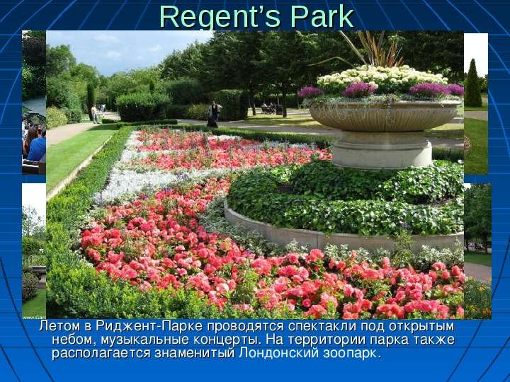 Regent s Park Летом в