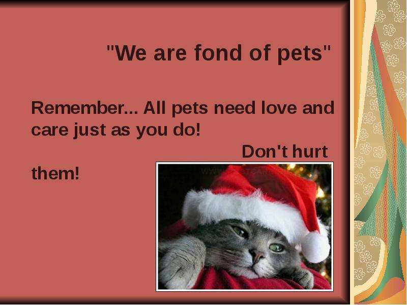 quot We are fond of pets quot