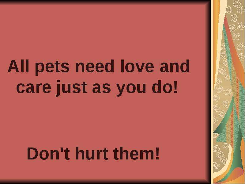 All pets need love and care