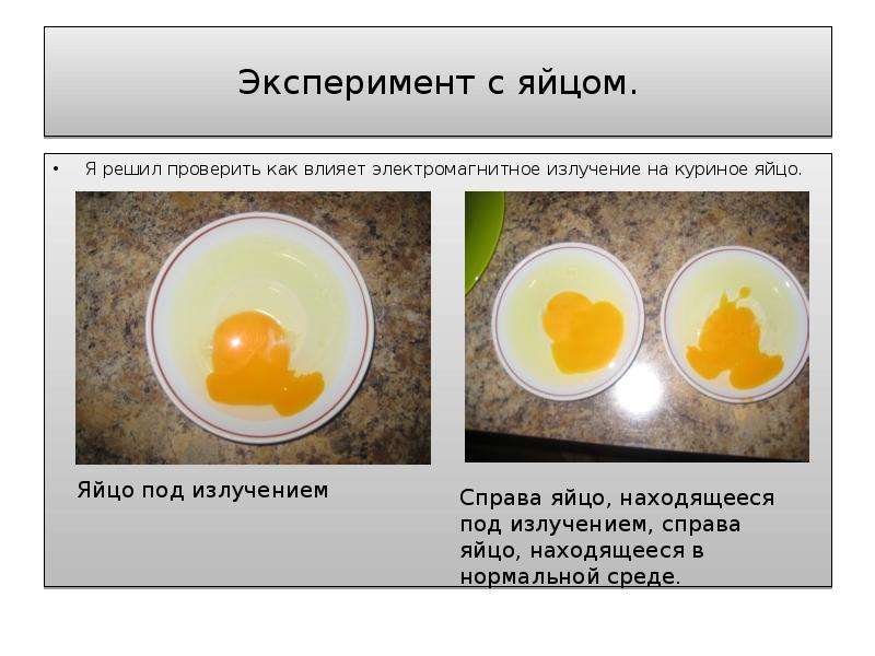 Эксперимент с яйцом. Я решил