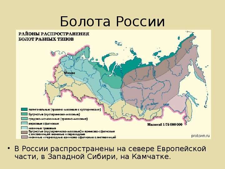 Болота России В России