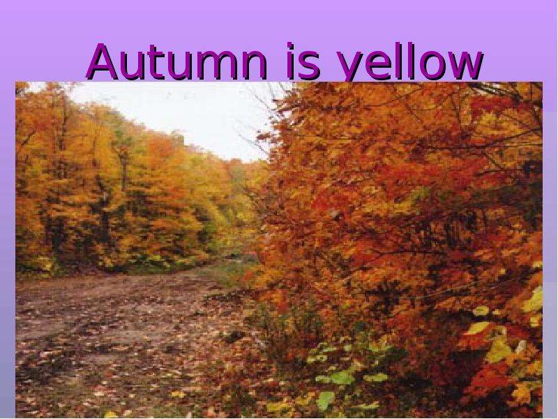 Autumn is yellow