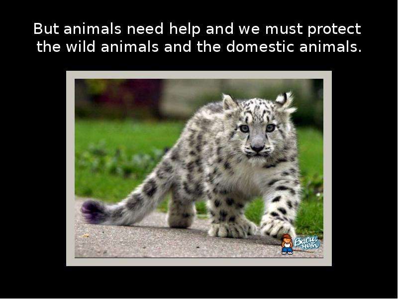 But animals need help and we