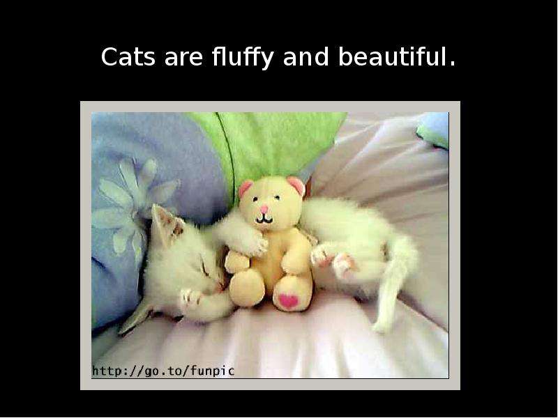 Cats are fluffy and beautiful.