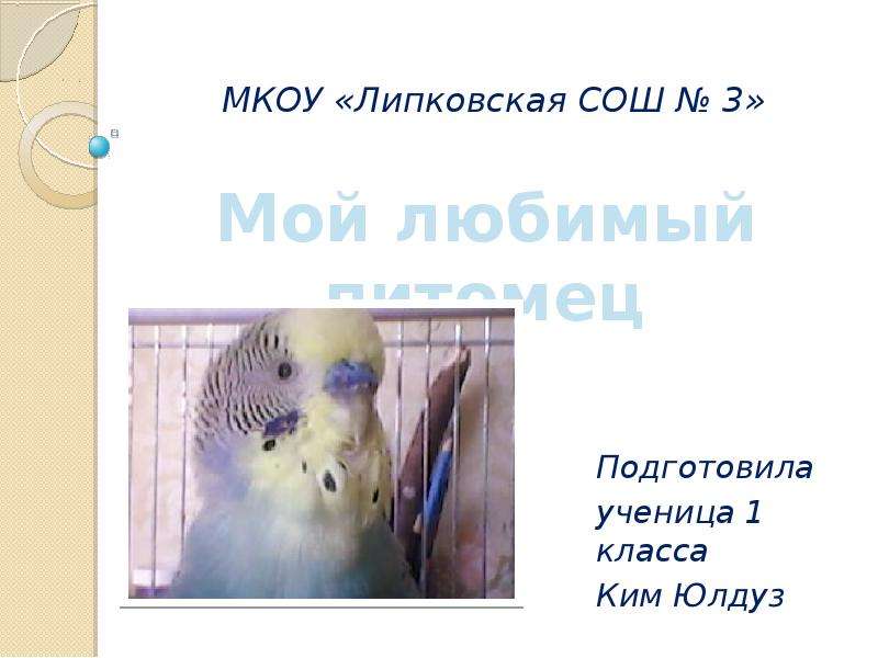 Презентация МКОУ «Липковская СОШ  3» Подготовила ученица 1 класса Ким Юлдуз 2012г.