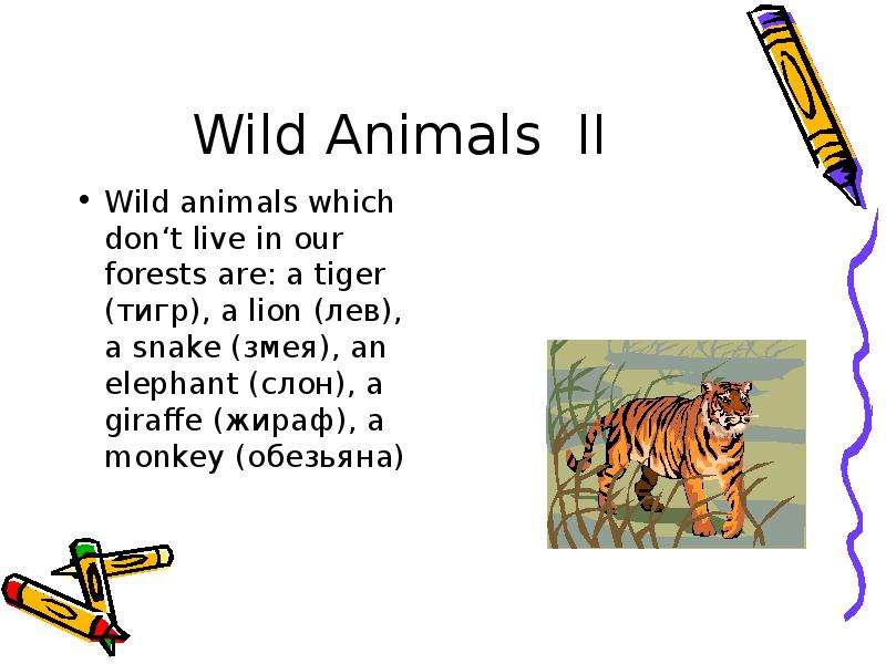 Wild Animals II Wild animals