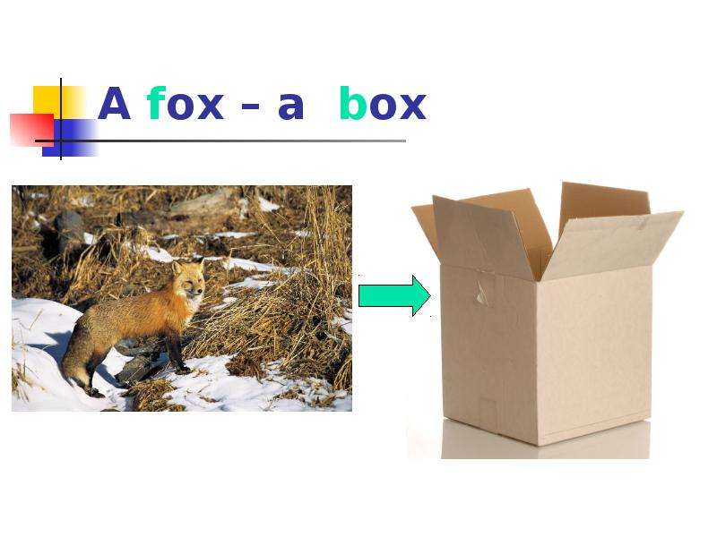 A fox a box
