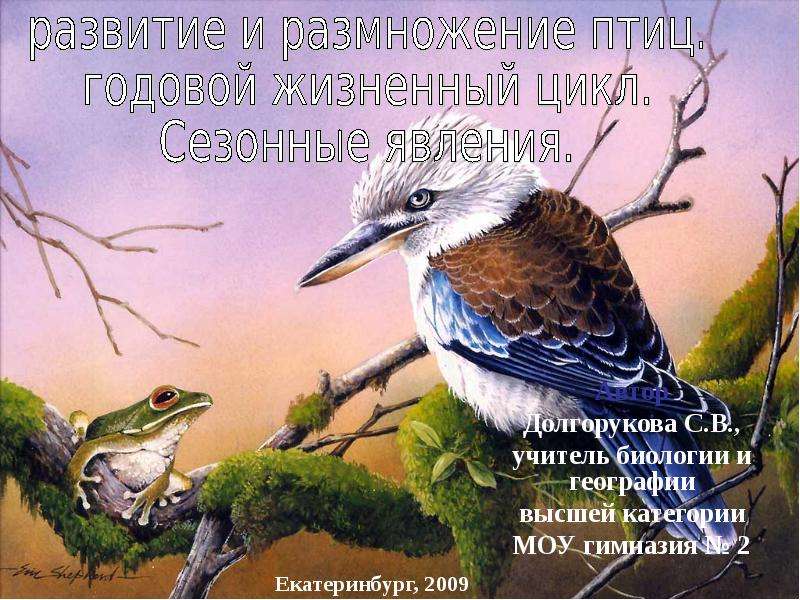Презентация Автор Долгорукова С. В. , учитель биологии и географии высшей категории МОУ гимназия  2