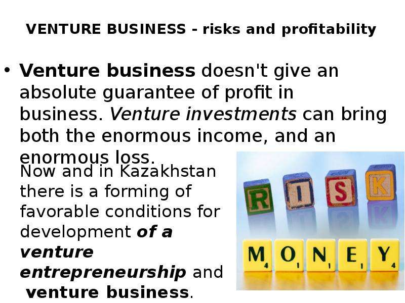 VENTURE BUSINESS - risks and