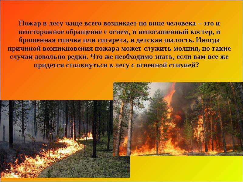 Пожар в лесу чаще всего