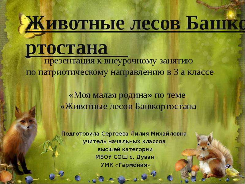 Презентация На тему Животные лесов Башкортостана