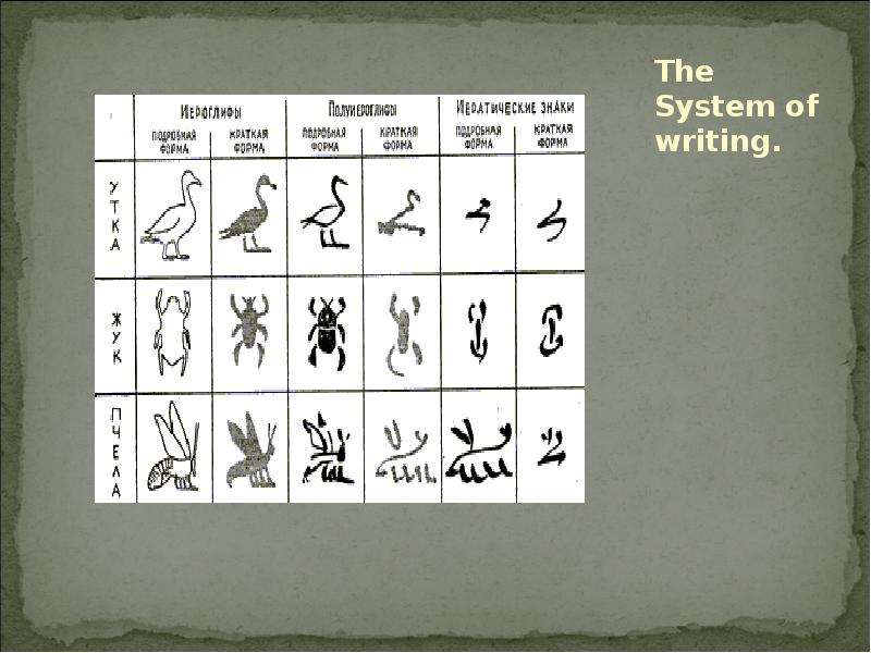 The System of writing.
