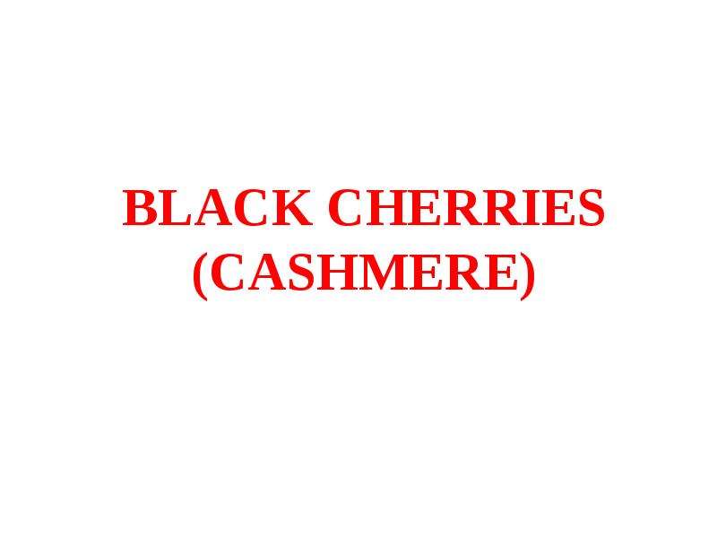 BLACK CHERRIES CASHMERE