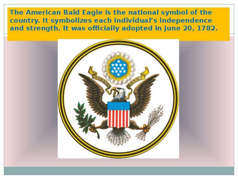 The American Bald Eagle is
