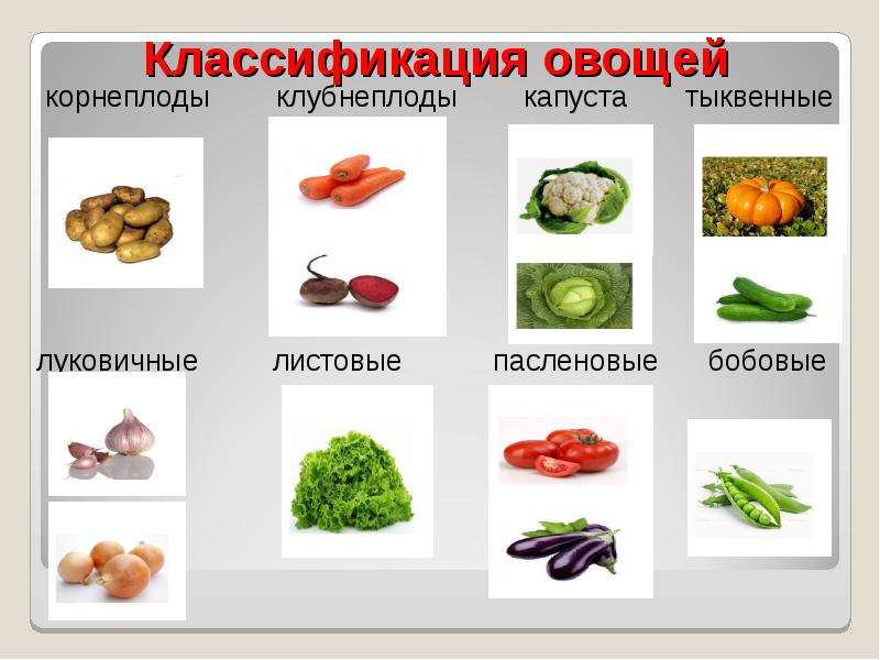 Классификация овощей