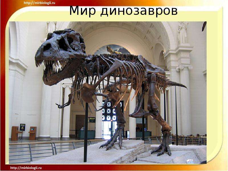 Презентация Мир динозавров