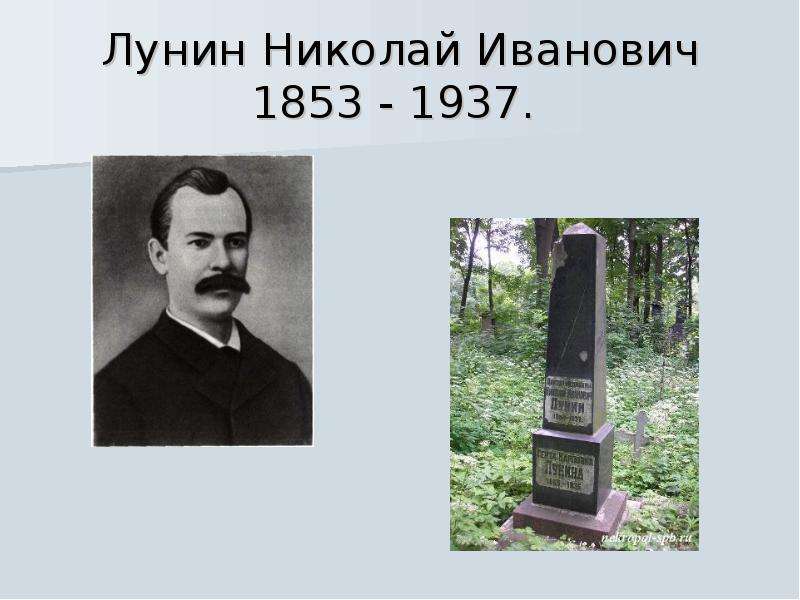 Лунин Николай Иванович - .