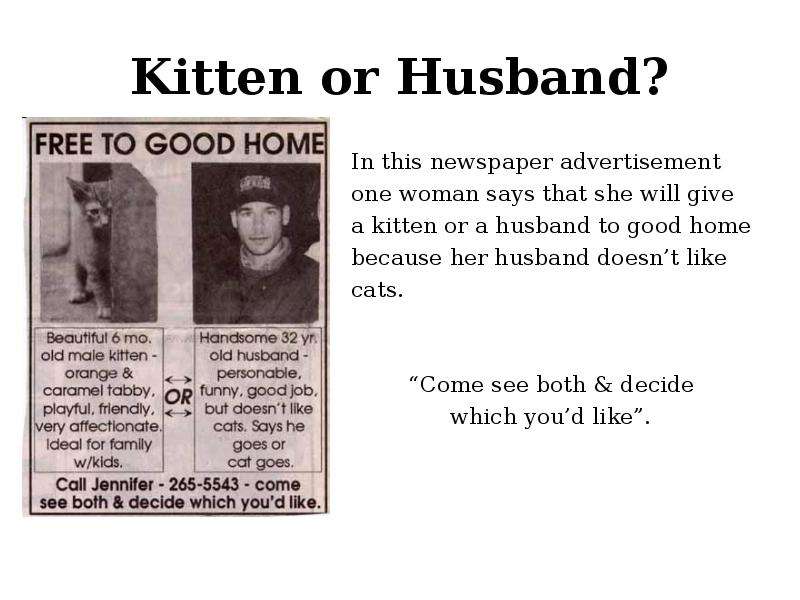 Kitten or Husband? In this
