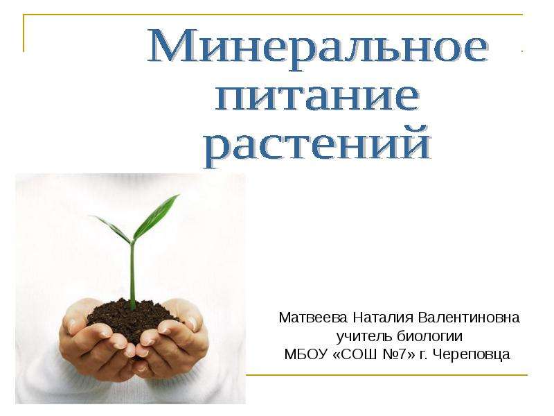 Презентация На тему "Минеральное питание растений" - презентации по Биологии