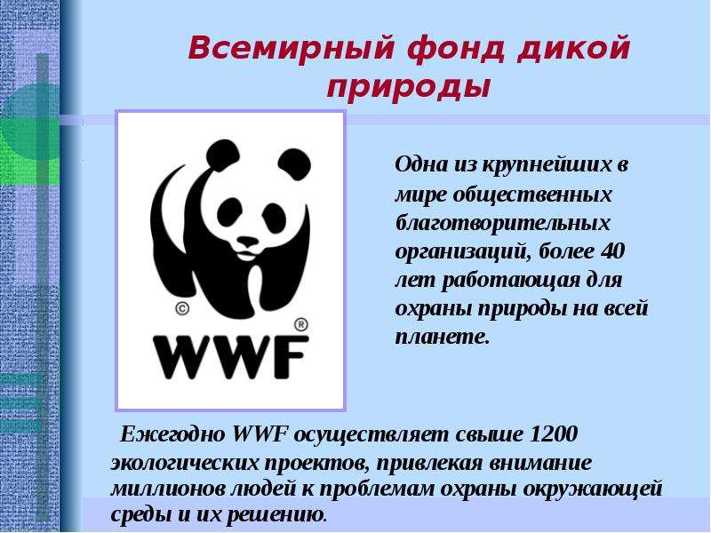 Ежегодно WWF осуществляет